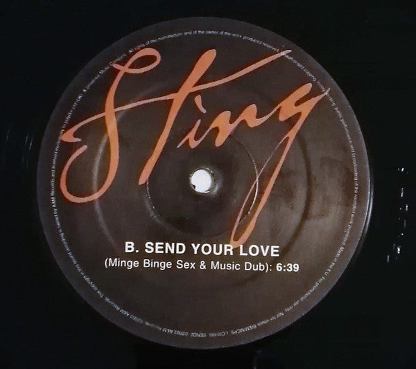 Sting : Send Your Love (12")