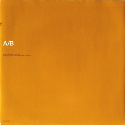 Pet Shop Boys : You Only Tell Me You Love Me When You're Drunk (2x12", Single)