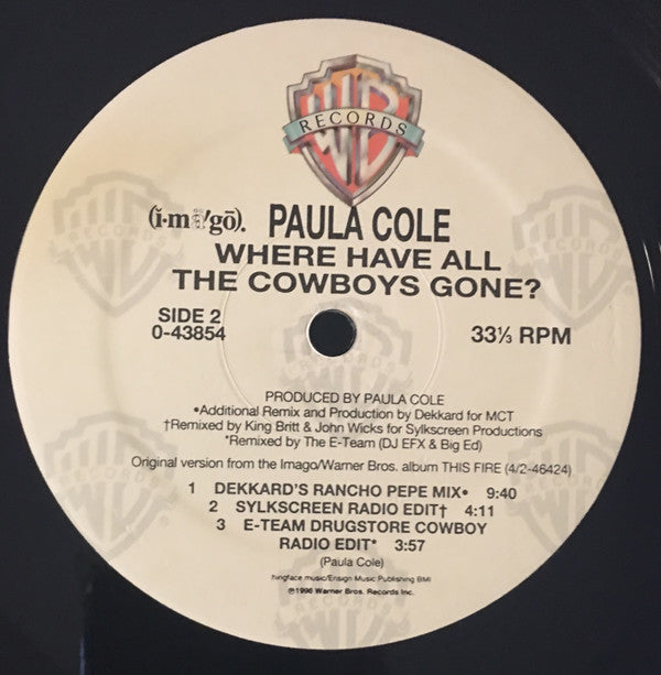 Paula Cole : Where Have All The Cowboys Gone? (12")