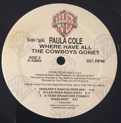 Paula Cole : Where Have All The Cowboys Gone? (12")