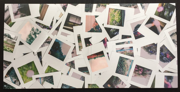 Earth House Hold : Never Forget Us (2xLP, Album, Ltd)