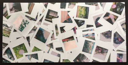 Earth House Hold : Never Forget Us (2xLP, Album, Ltd)