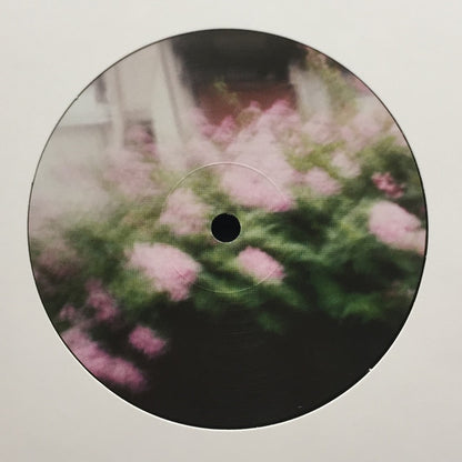 Earth House Hold : Never Forget Us (2xLP, Album, Ltd)