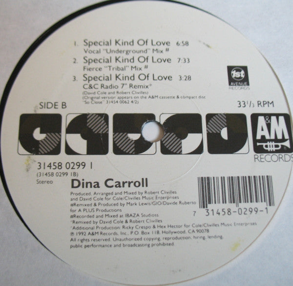 Dina Carroll : Special Kind Of Love (12")
