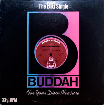 Andrea True Connection : N.Y., You Got Me Dancing / Fill Me Up (Heart To Heart) (12")