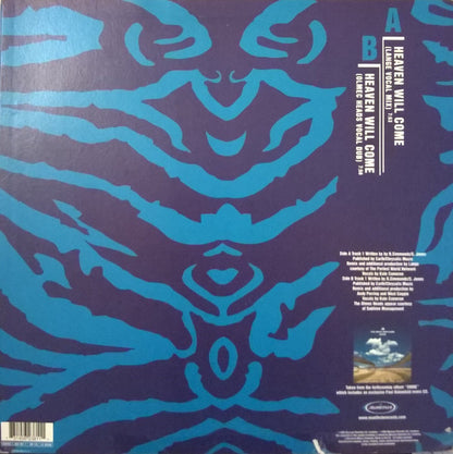 The Space Brothers : Heaven Will Come (12")