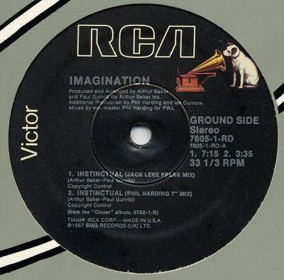 Imagination : Instinctual (12")