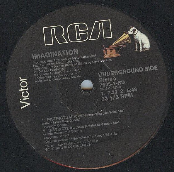 Imagination : Instinctual (12")