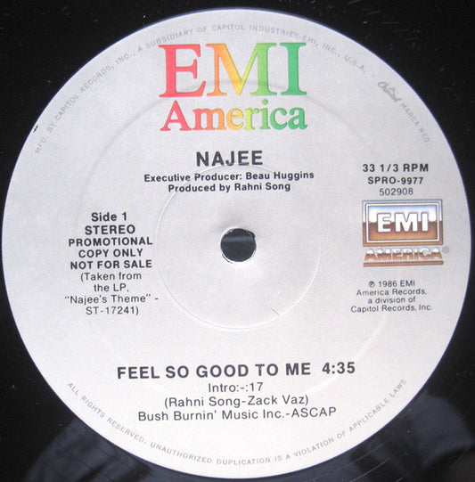 Najee : Feel So Good To Me (12", Single, Promo)