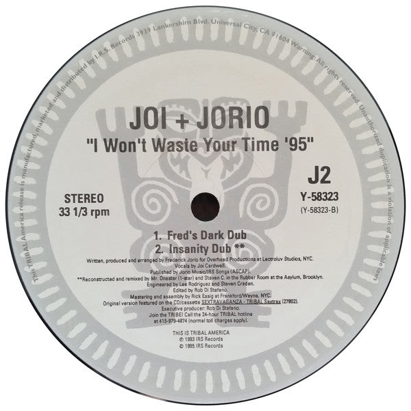 Joi + Jorio : I Won't Waste Your Time '95 (12")