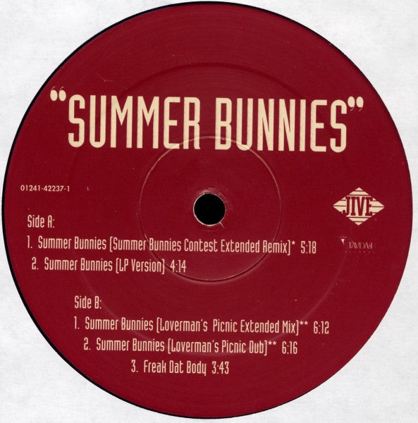 R. Kelly : Summer Bunnies (12", Single)