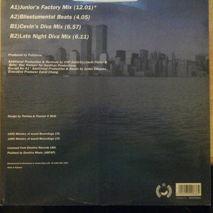 E.G. Fullalove : Didn't I Know? (Divas To The Dancefloor...Please) (12")