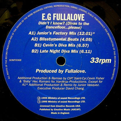 E.G. Fullalove : Didn't I Know? (Divas To The Dancefloor...Please) (12")