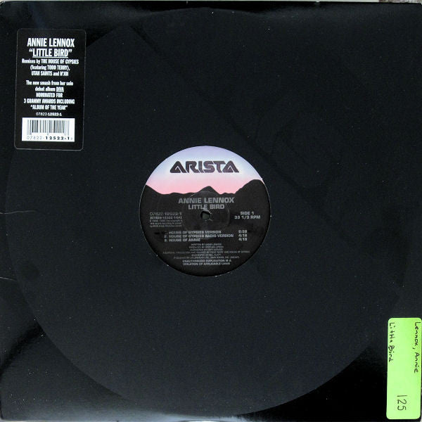 Annie Lennox : Little Bird (12")
