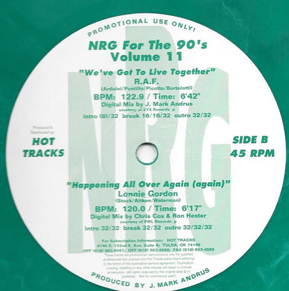 Various : NRG For The 90's Volume 11 (2x12", Promo, Gre)