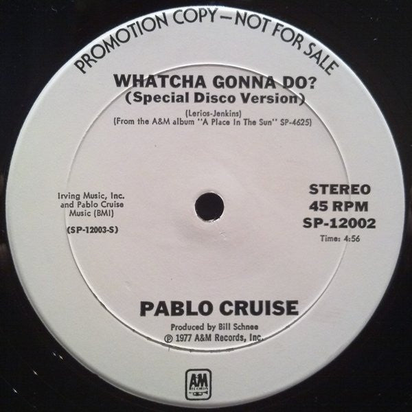 Pablo Cruise : Whatcha Gonna Do? (12", Promo)