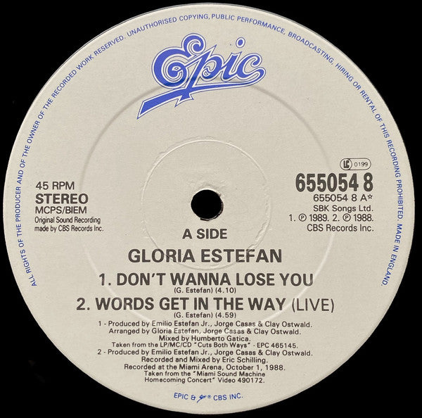 Gloria Estefan : Don't Wanna Lose You (12", Single)