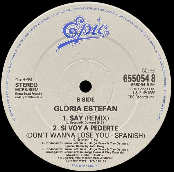 Gloria Estefan : Don't Wanna Lose You (12", Single)