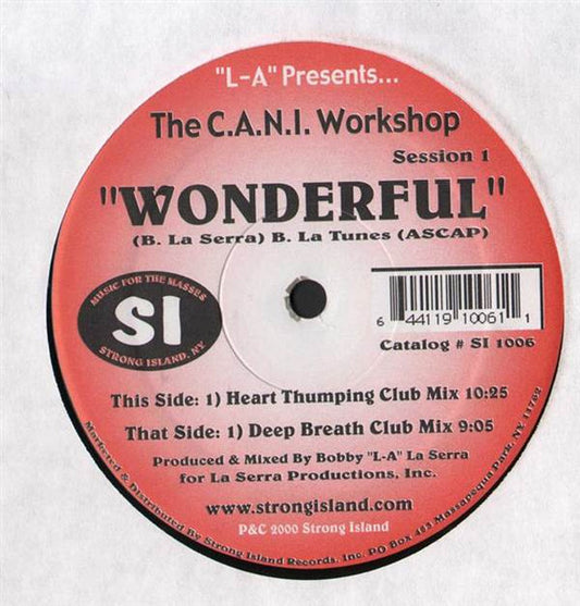 The C.A.N.I. Workshop : Wonderful (12")