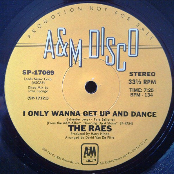 The Raes : I Only Wanna Get Up And Dance (12", Promo)