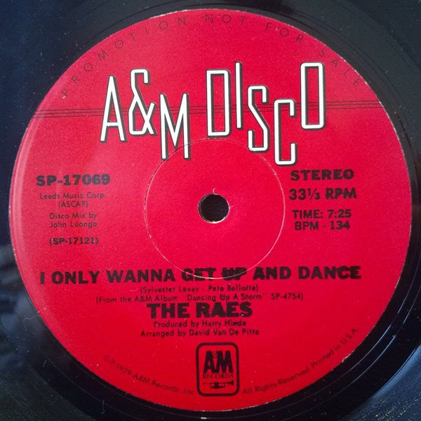 The Raes : I Only Wanna Get Up And Dance (12", Promo)