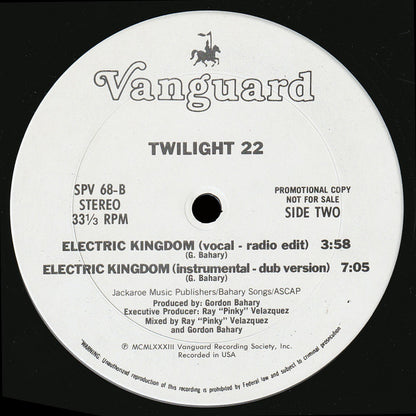 Twilight 22 : Electric Kingdom (12", Promo)