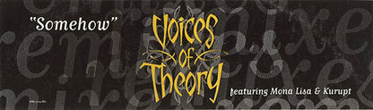 Voices Of Theory : Somehow (12", Promo)