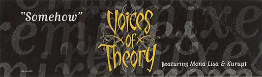 Voices Of Theory : Somehow (12", Promo)