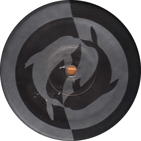 Cosmic Baby : Loops Of Infinity (12")
