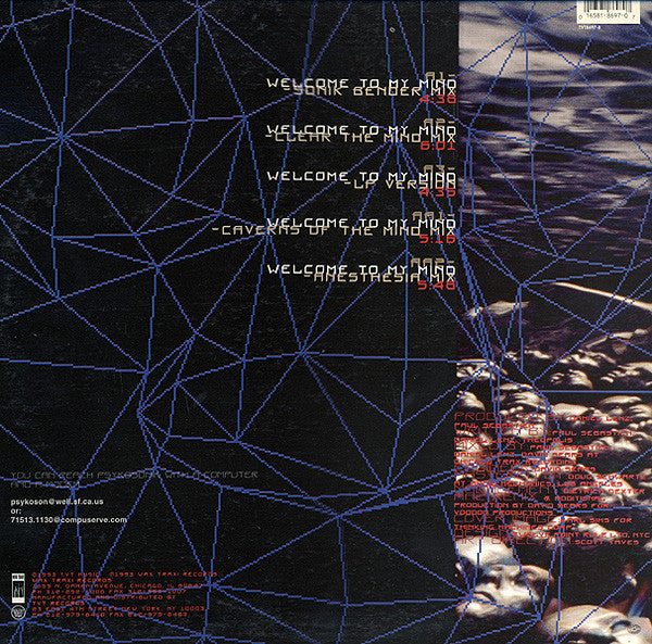 Psykosonik : Welcome To My Mind (12")