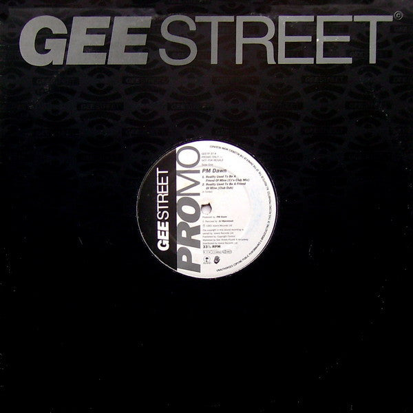 PM Dawn* : Reality Used To Be A Friend Of Mine (12", Promo)