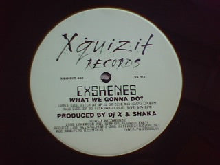 Exshenes : What We Gonna Do? (12", Promo)