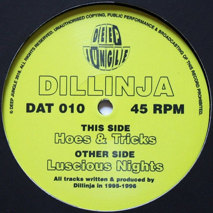 Dillinja : Luscious Nights / Hoes & Tricks (12")