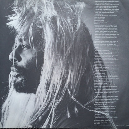 George Clinton : The Cinderella Theory (LP, Album)