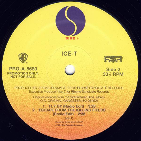 Body Count (2) / Ice-T : The Winner Loses / Fly By (12", Promo)
