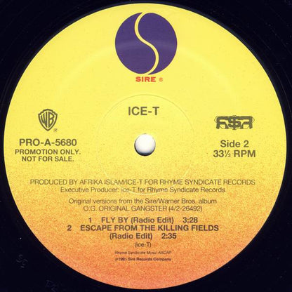 Body Count (2) / Ice-T : The Winner Loses / Fly By (12", Promo)