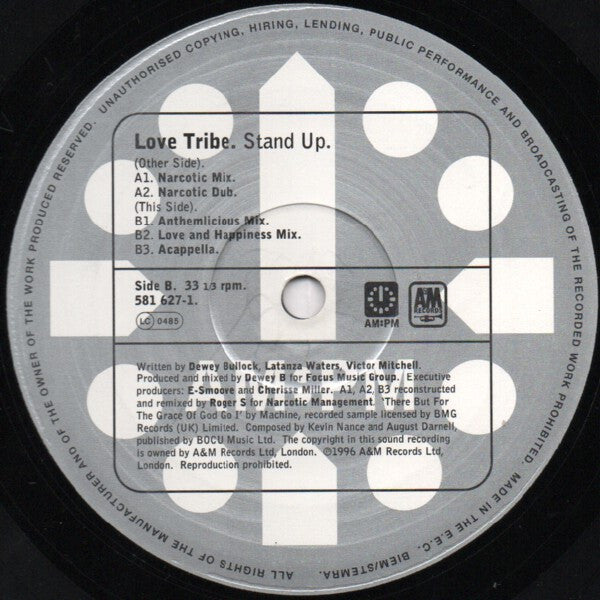 Love Tribe : Stand Up (Roger Sanchez / Dewey B Mixes) (12", Rec)