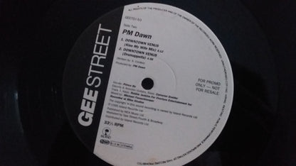 P.M. Dawn : Downtown Venus (12", Promo)