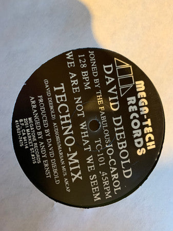 David Diebold Joined By The Fabulous Jo-Carol* : We Are Not What We Seem (12")