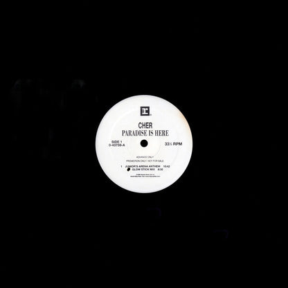 Cher : Paradise Is Here (12", Advance, Promo)