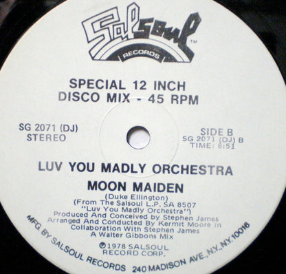 Luv You Madly Orchestra : Rocket Rock / Moon Maiden (12", Promo)