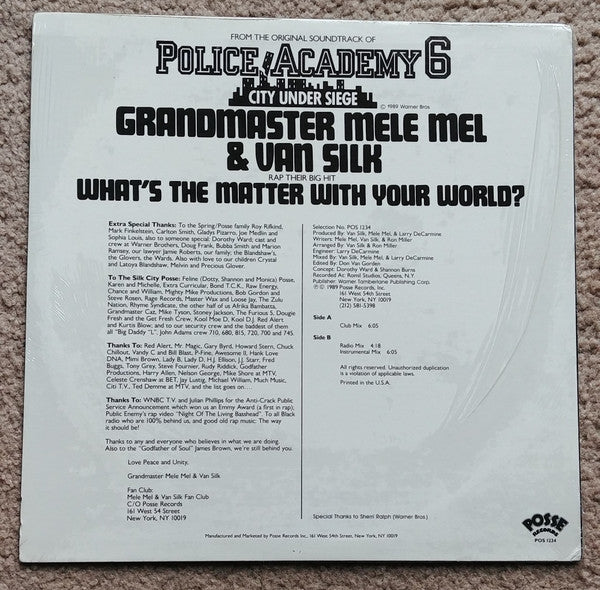 Grandmaster Mele Mel* & Van Silk : What's The Matter With Your World? (12")