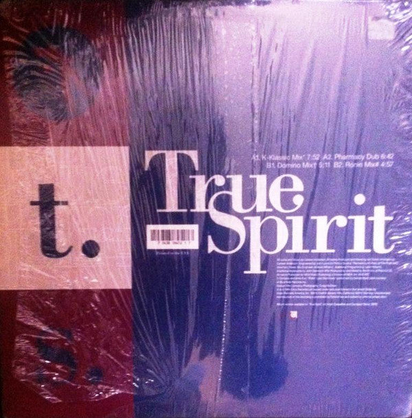 Carleen Anderson : True Spirit (12")