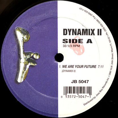 Dynamix II : We Are Your Future (12")