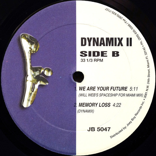 Dynamix II : We Are Your Future (12")
