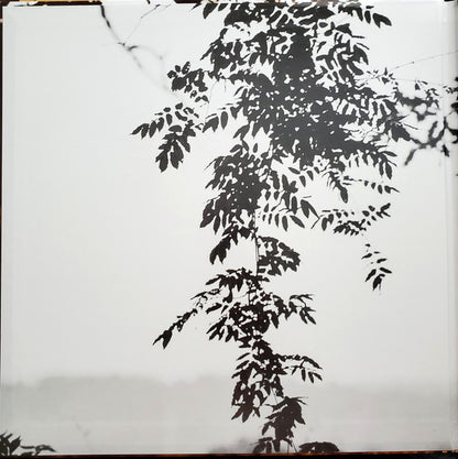 Kelly Finnigan : The Tales People Tell (LP, Album)