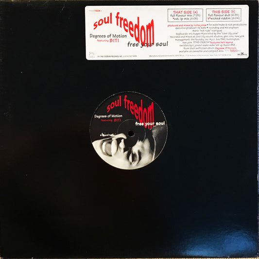 Degrees Of Motion Featuring Biti* : Soul Freedom (Free Your Soul) (12")