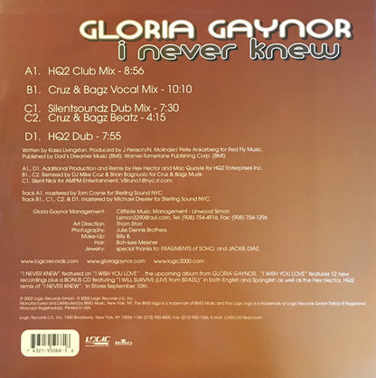 Gloria Gaynor : I Never Knew (2x12")