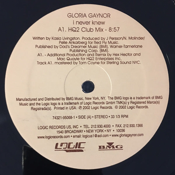 Gloria Gaynor : I Never Knew (2x12")