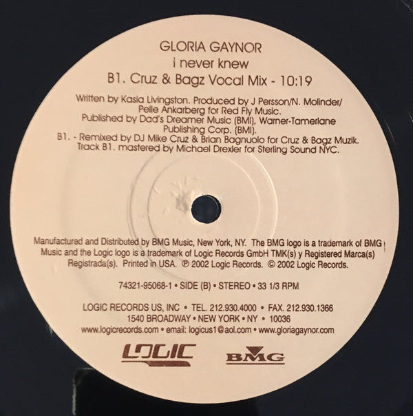 Gloria Gaynor : I Never Knew (2x12")
